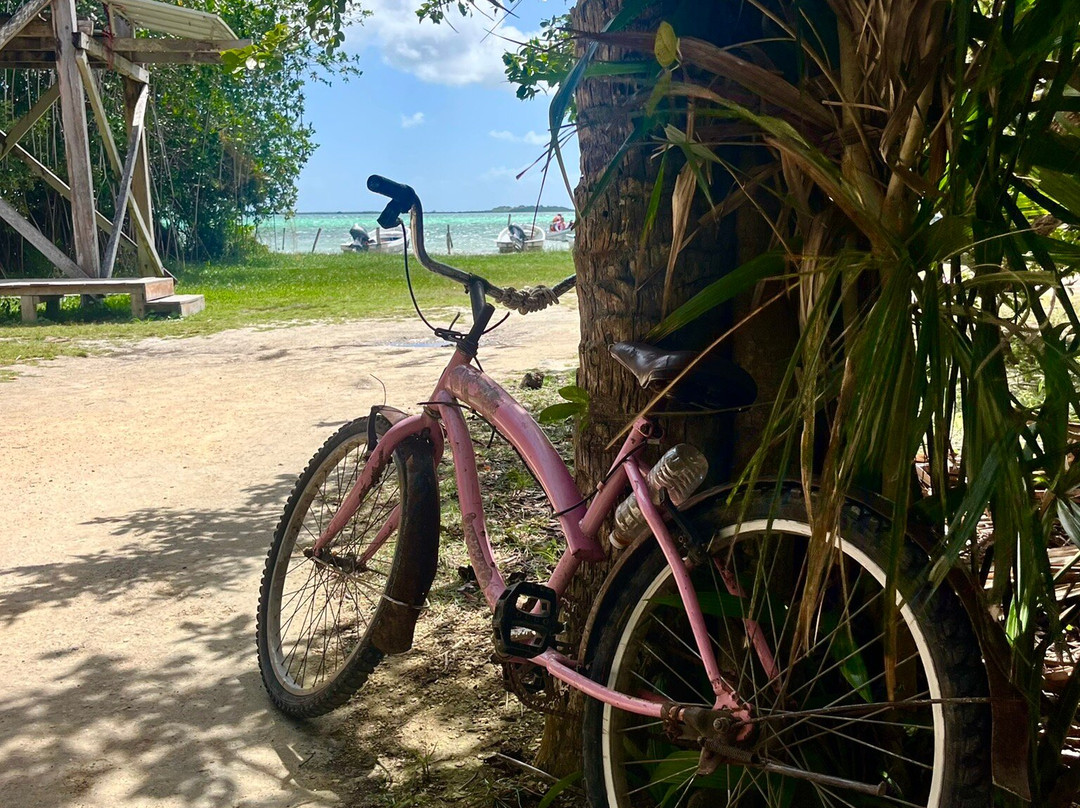 Zona Arqueológica de Muyil-Chunyaxche必去景点
