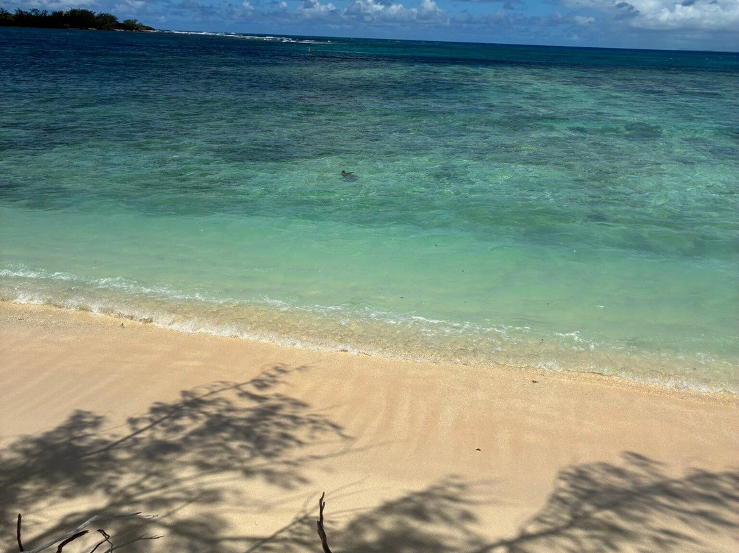 La Mouette Martial-开普马欧呵必去景点