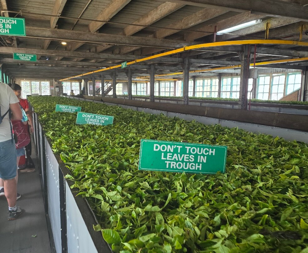 Lanka Classy Tours-凯拉尼亚必去景点