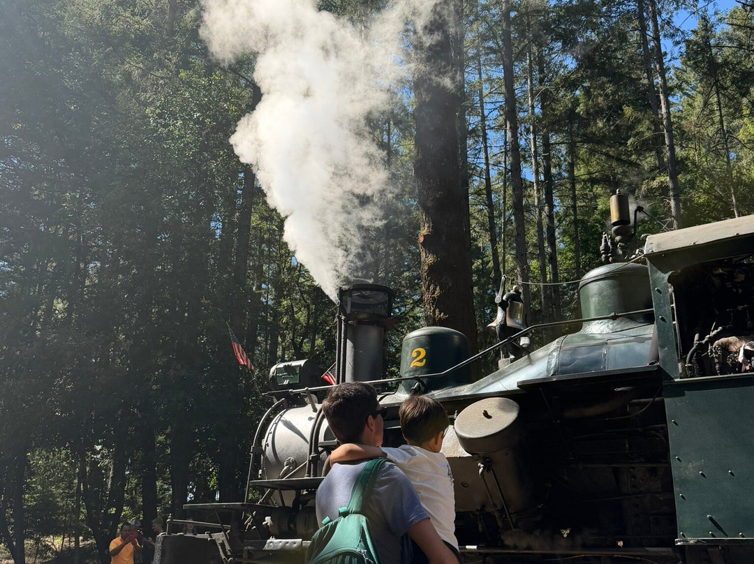 Roaring Camp Railroads-圣克鲁斯必去景点