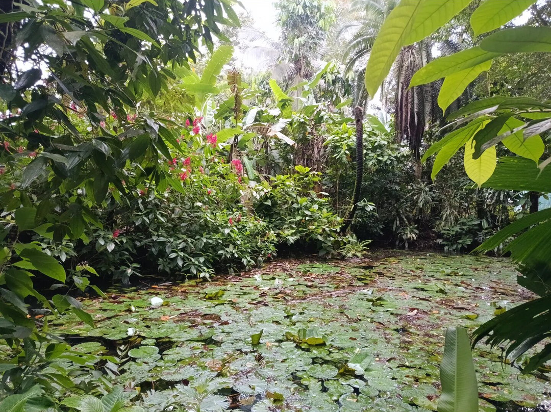 Pierella Ecological Garden-Horquetas必去景点