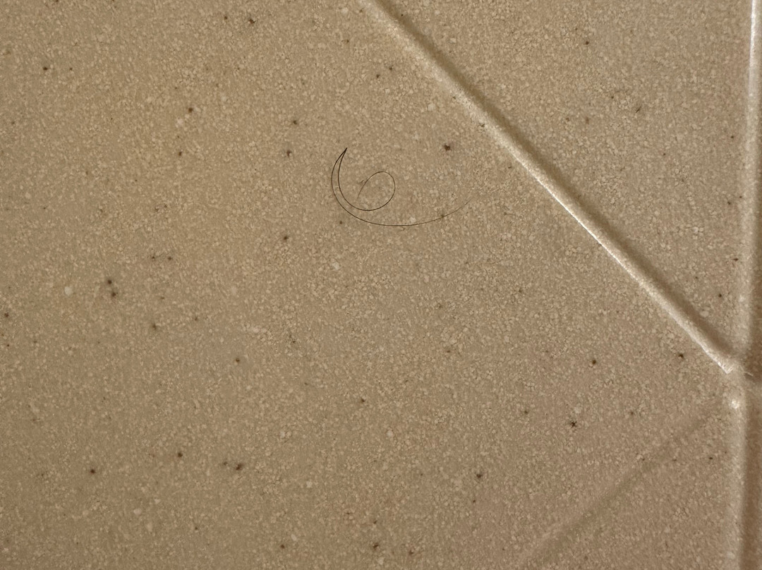 韦斯特福德切姆斯福德欢朋套房酒店主图