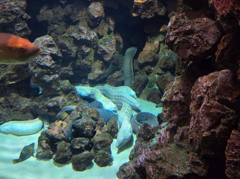 Poema Del Mar-大加那利岛拉斯帕尔马斯必去景点