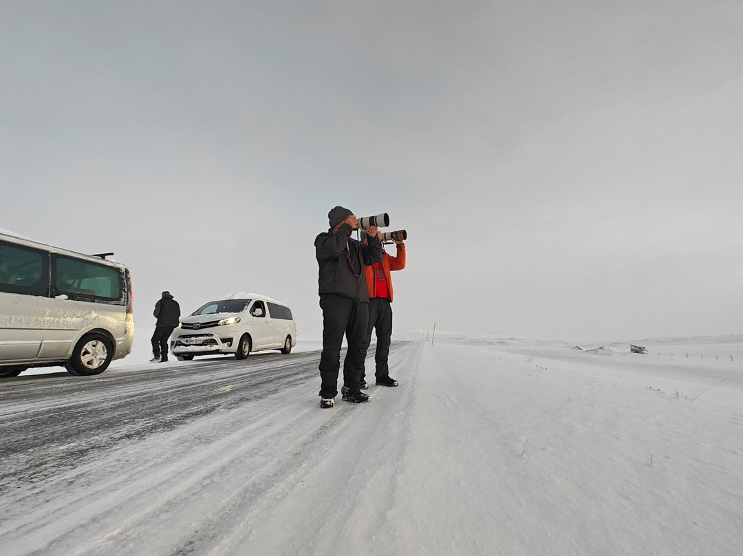 Nordic Wildscape Photoguide