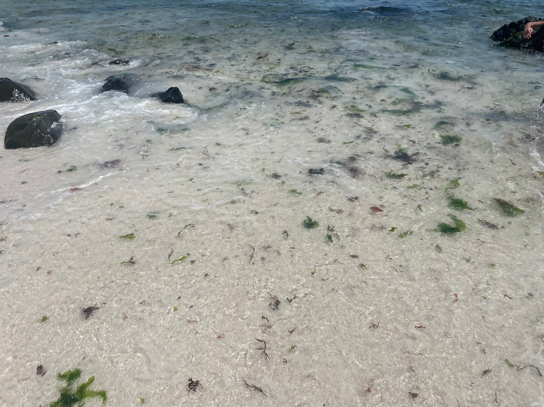 Bahia Inglesa-Copiapo必去景点