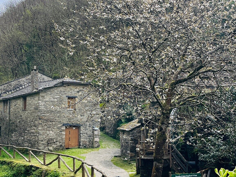Museo Molinos Mazonovo-Taramundi必去景点