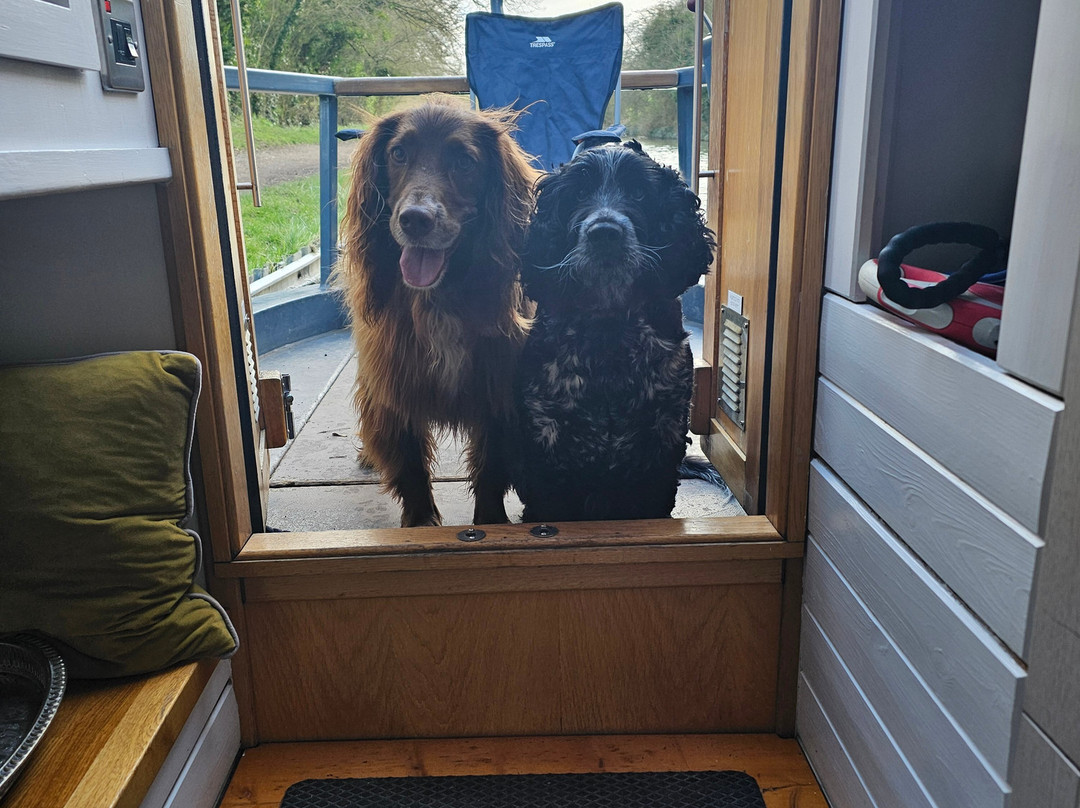 Boutique Narrowboats-马基特哈伯勒必去景点