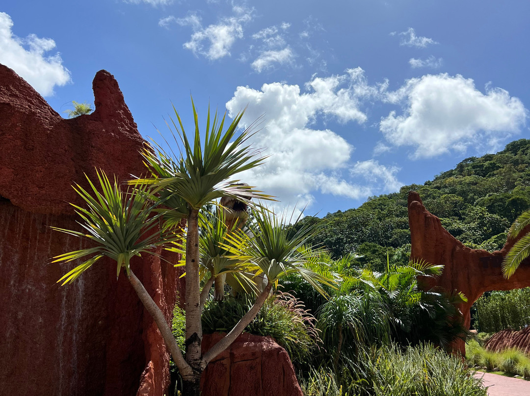 Aventura Jurássica-康泊琉海水浴场必去景点