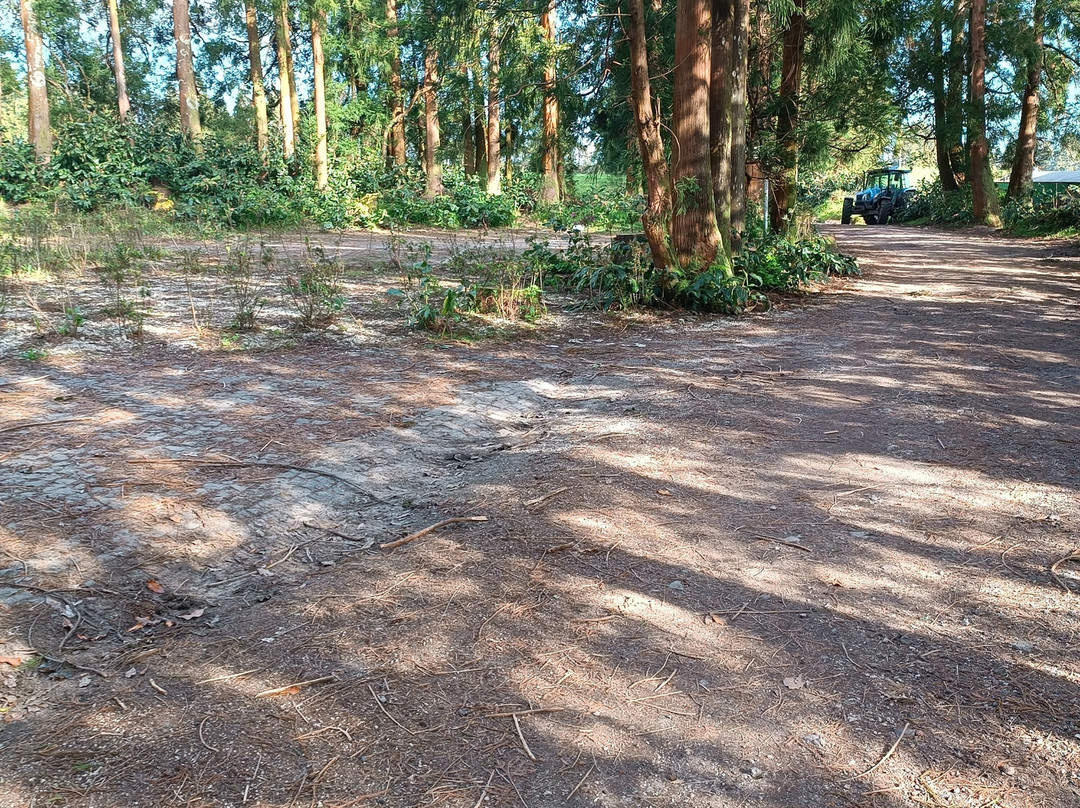 Lagoa Do Congro-Vila Franca do Campo必去景点