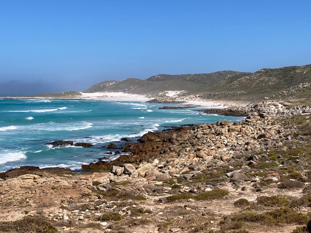 Cape Point-桌山国家公园必去景点