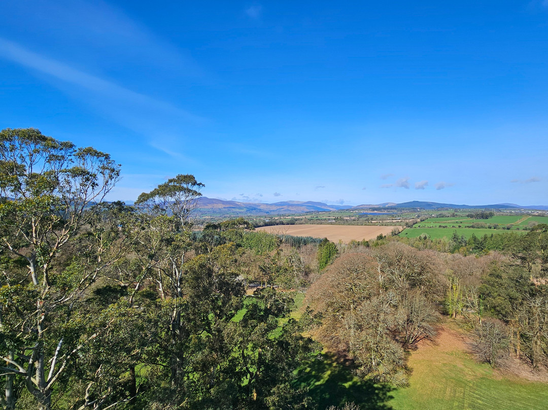 Treetop Walk Avondale-Rathdrum必去景点
