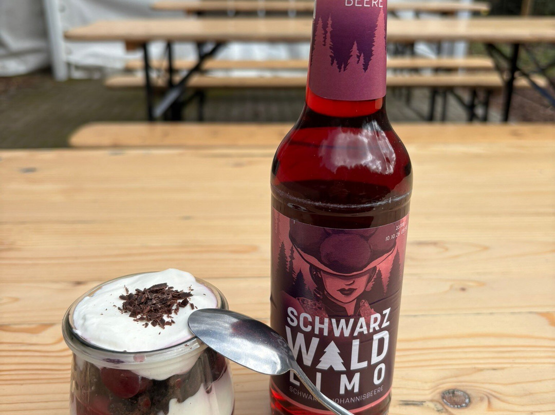 Geroldsau Waterfall-巴登巴登必去景点