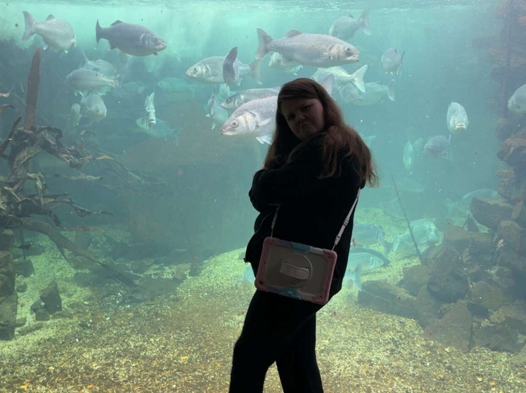 Anglesey Sea Zoo Sw Mor Mon-Brynsiencyn必去景点