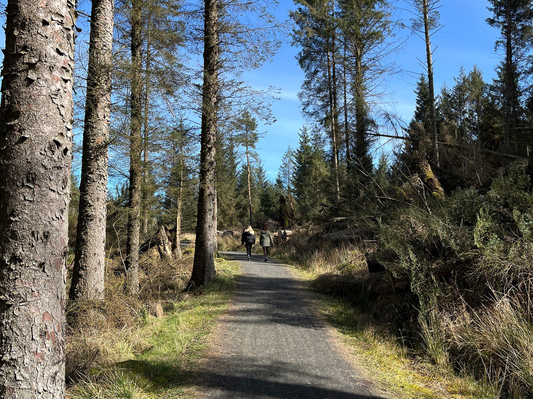 Landal Kielder Waterside-Kielder必去景点