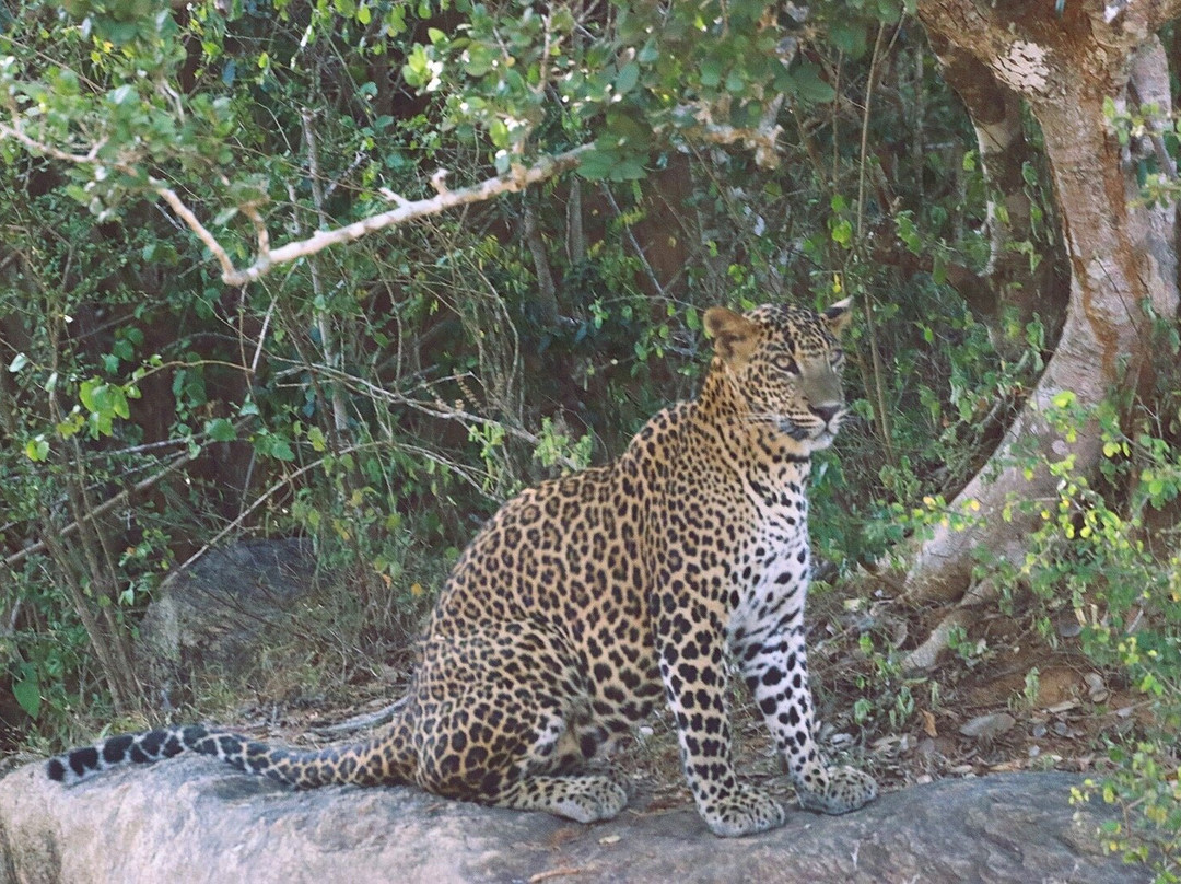 Eddy's Expeditions-加勒必去景点