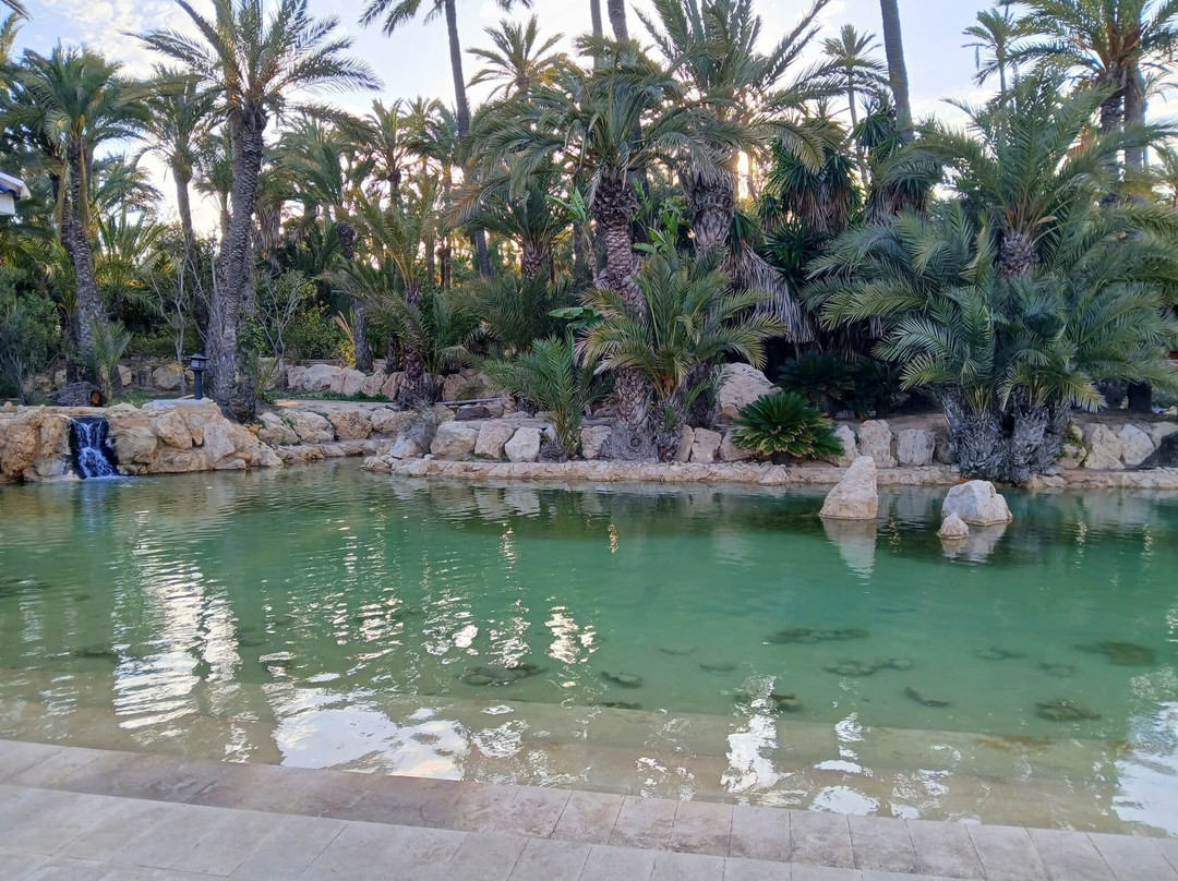 Parque El Palmeral-阿利坎特省必去景点