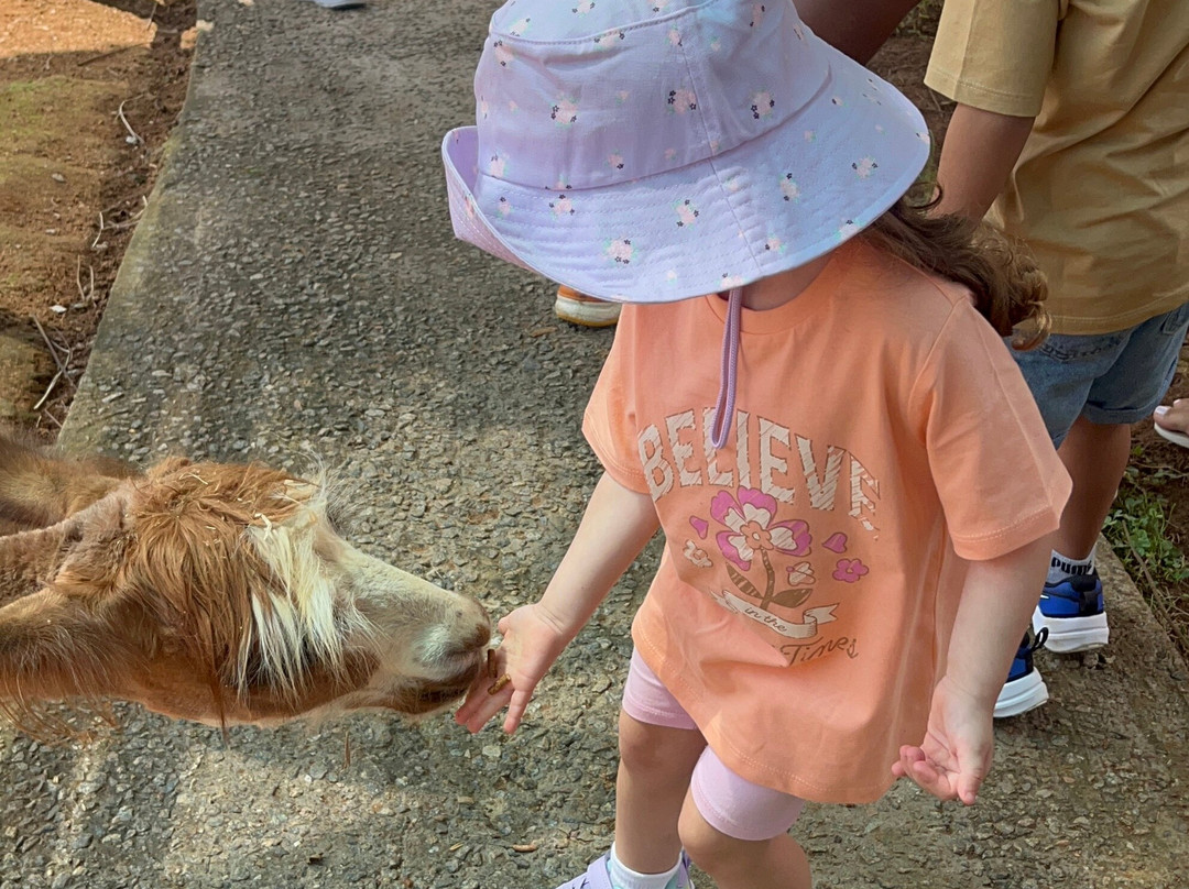 Mini Fazenda Pet Zoo-Cotia必去景点