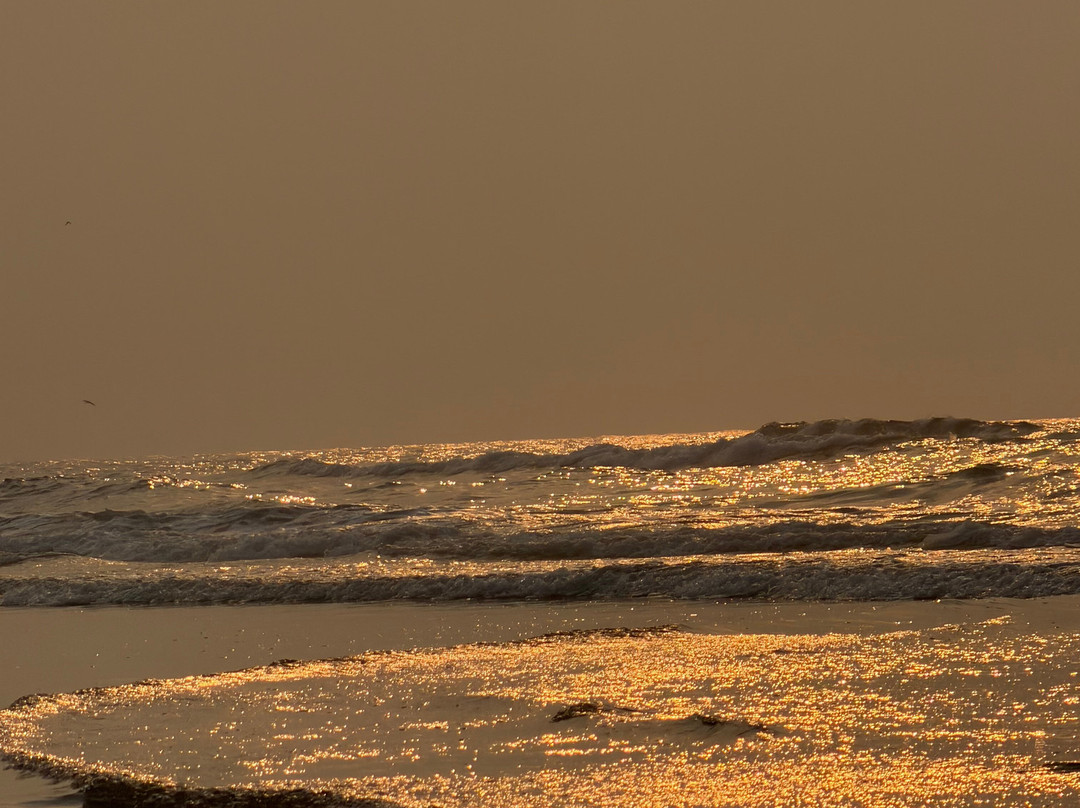 Gopalpur Beach-Ganjam必去景点