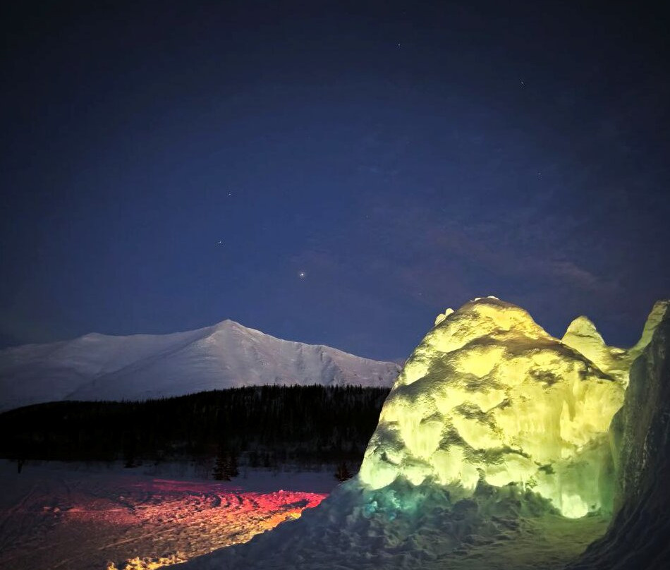 Arctic Safari-摩尔曼斯克必去景点