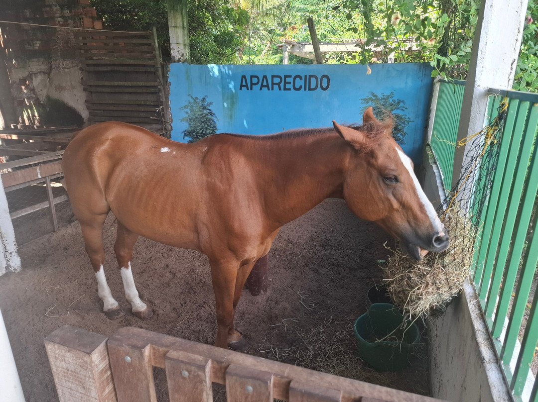 Fazendinha Parque Raposa-Raposa必去景点