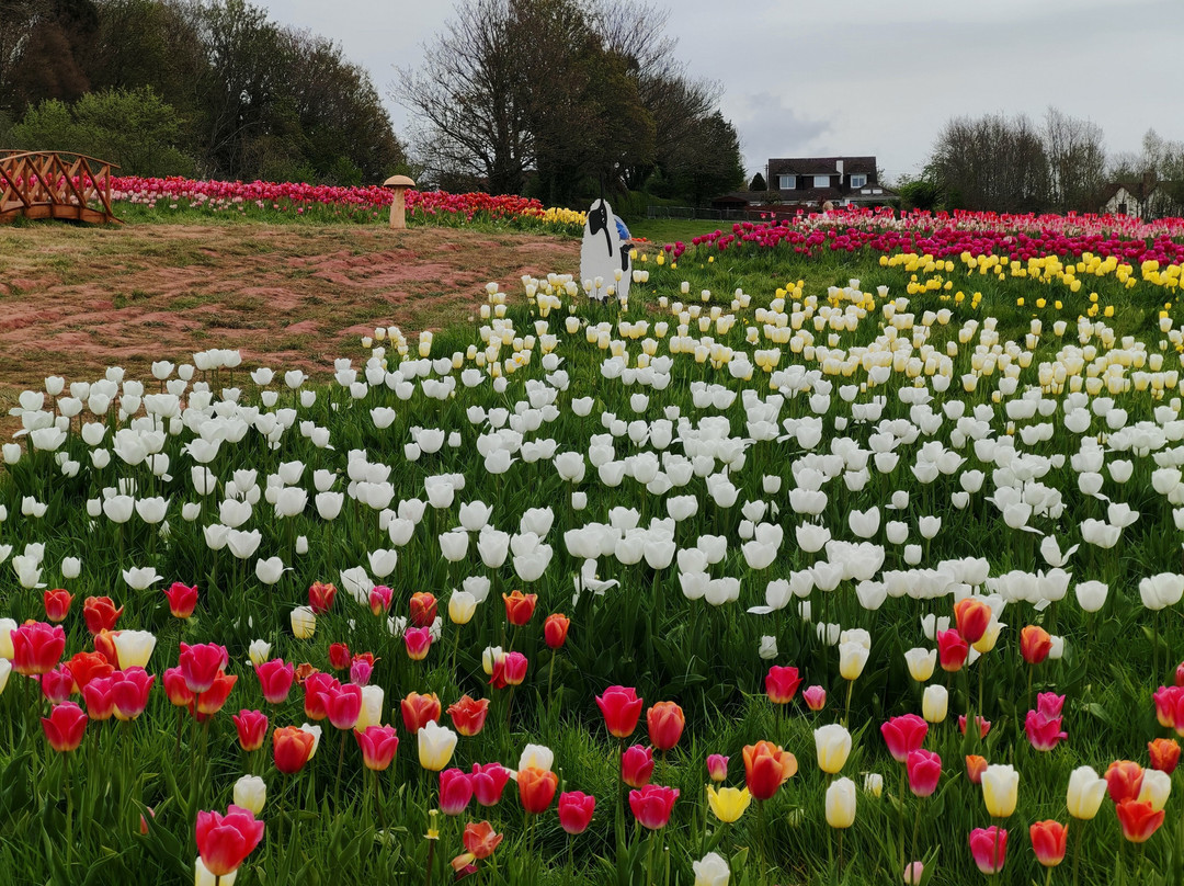 Darts Farm-Clyst Saint George必去景点