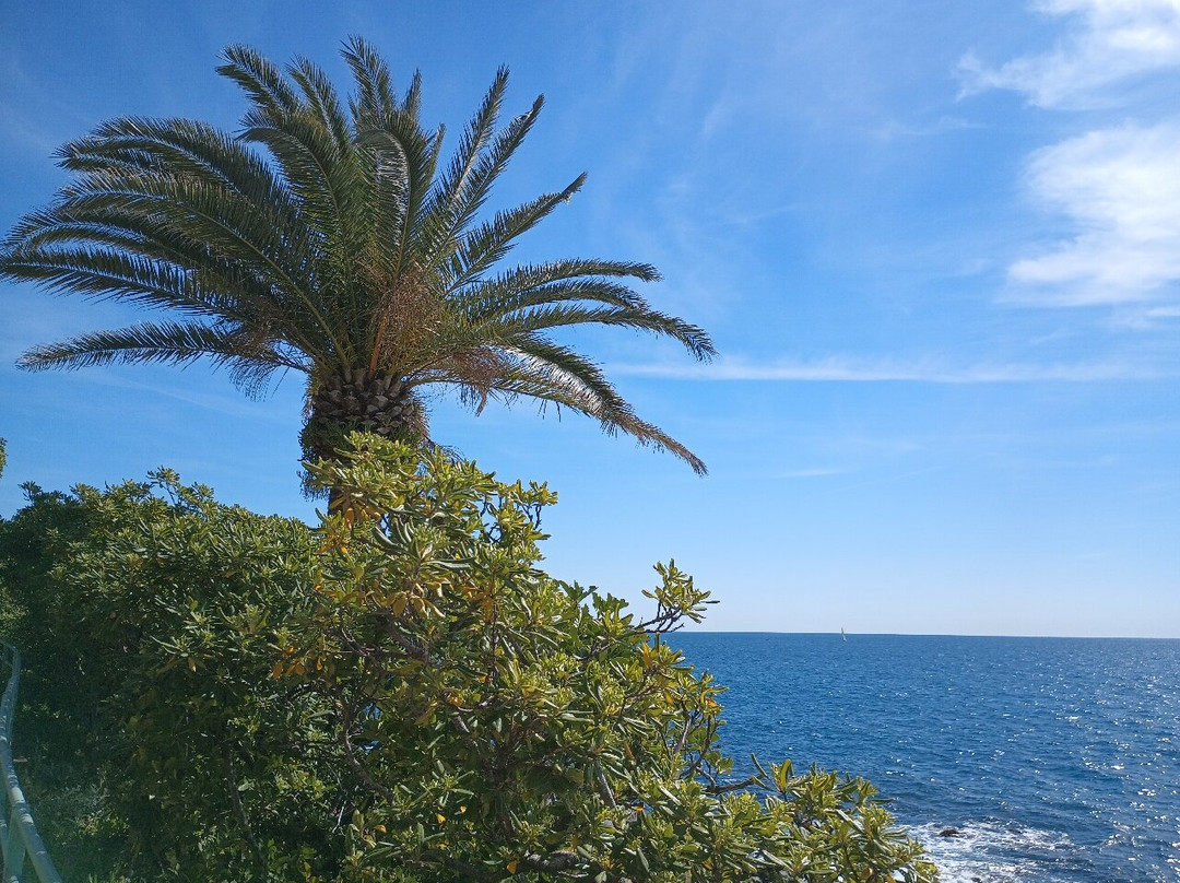 Passeggiata Anita Garibaldi a Nervi-热那亚必去景点