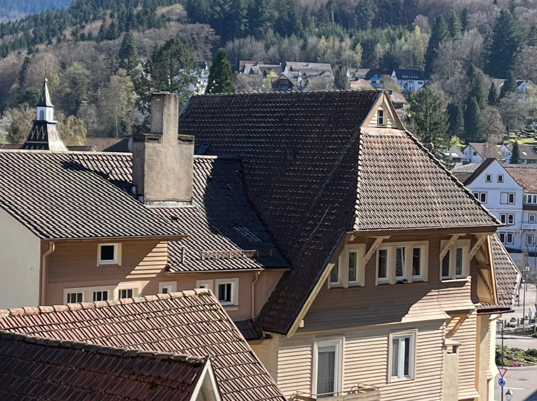 施米茨费尔登库尔酒店主图