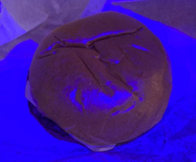 The Hollywood Gardens Restaurant