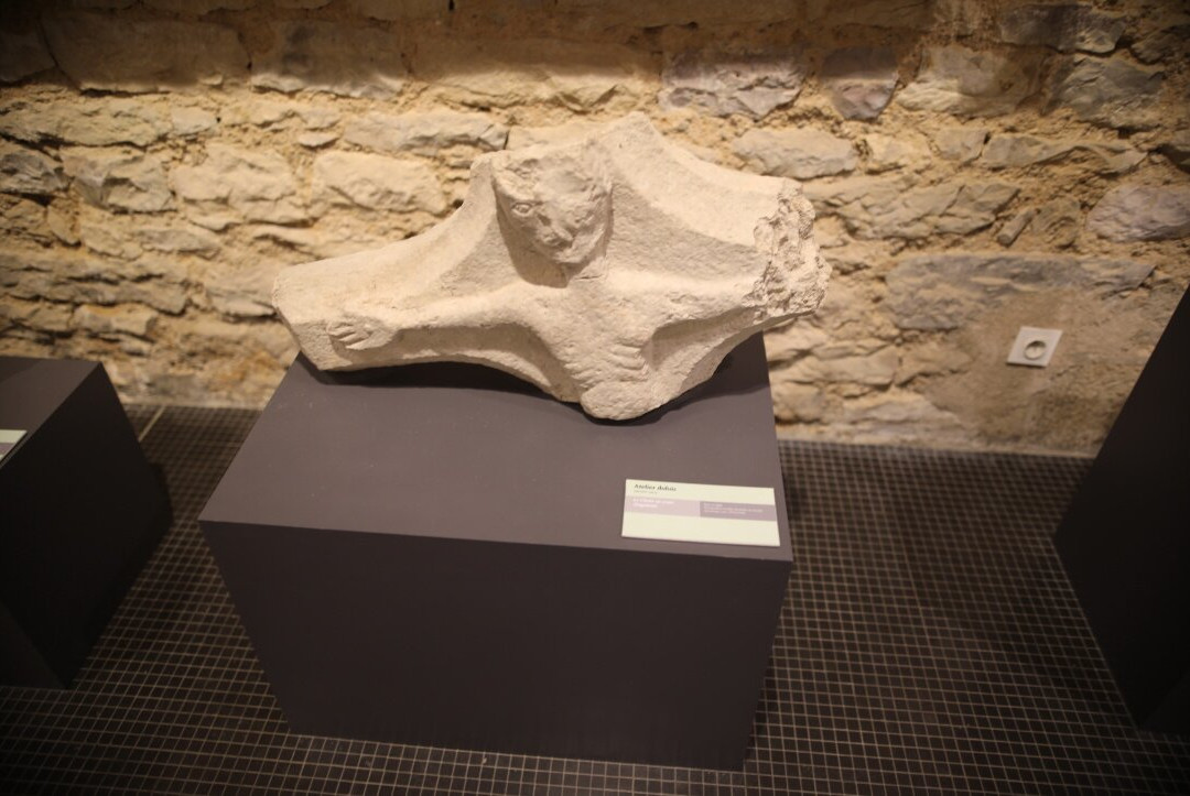 Musee des Beaux-Arts de Dole-多勒必去景点