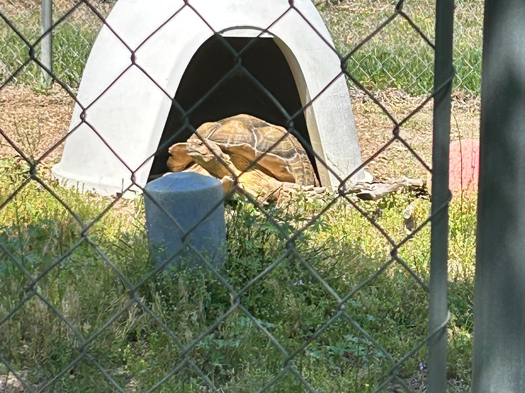 Animal Park NC-伯灵顿必去景点