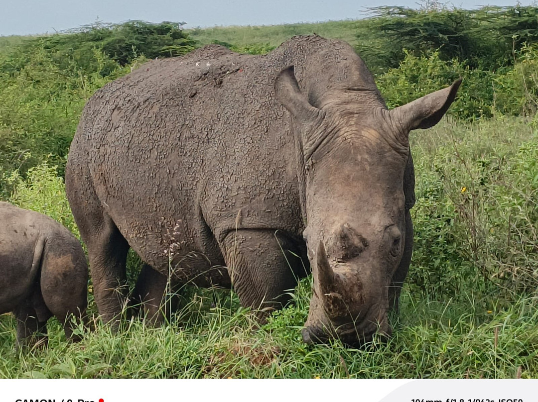 Masai Mara National Reserve-纳罗克必去景点