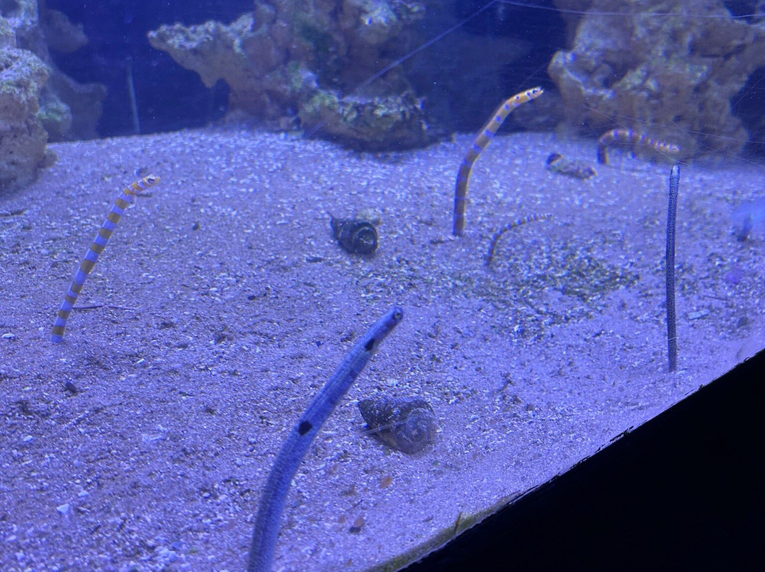 Grand Aquarium-圣马洛必去景点