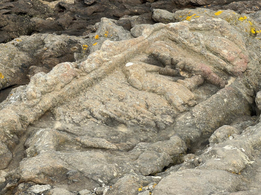 Les Rochers Sculptes-圣马洛必去景点
