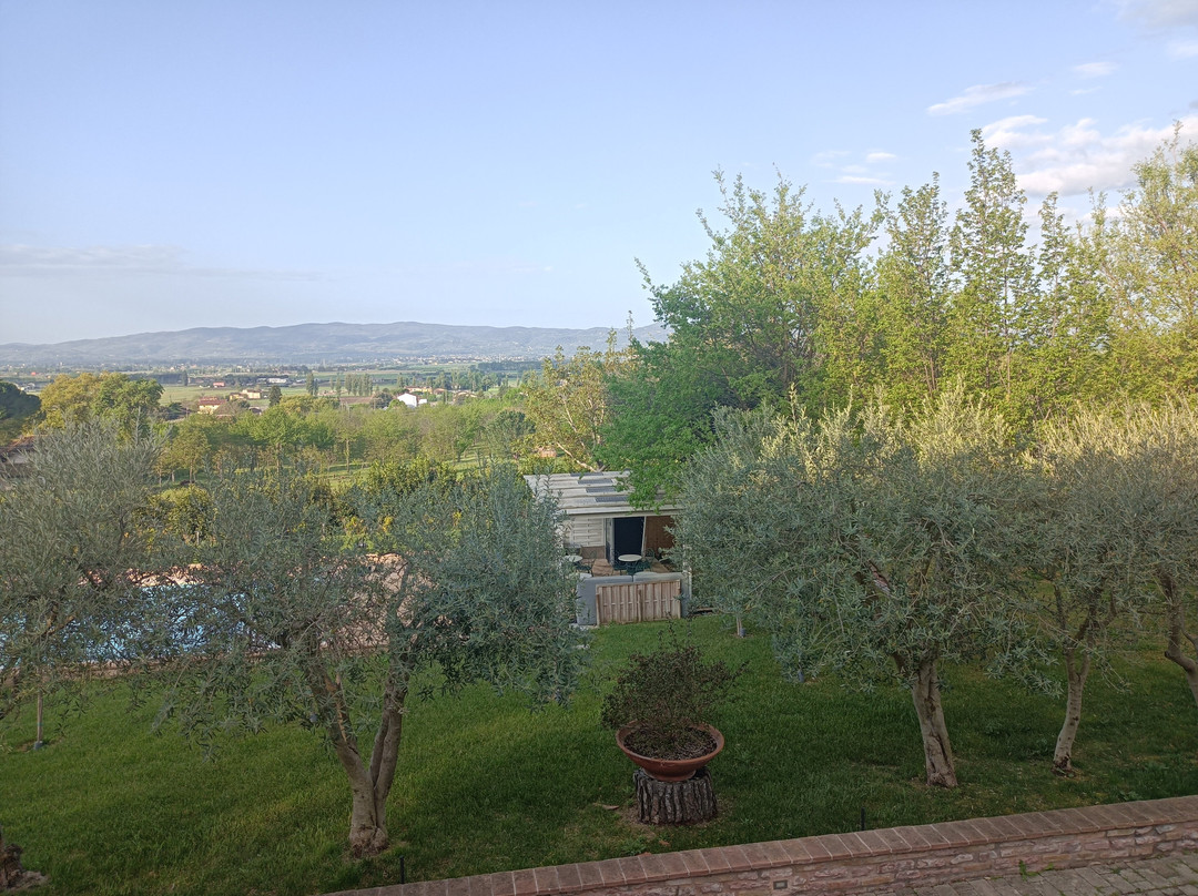 利昆尔齐迪幔利酒店主图