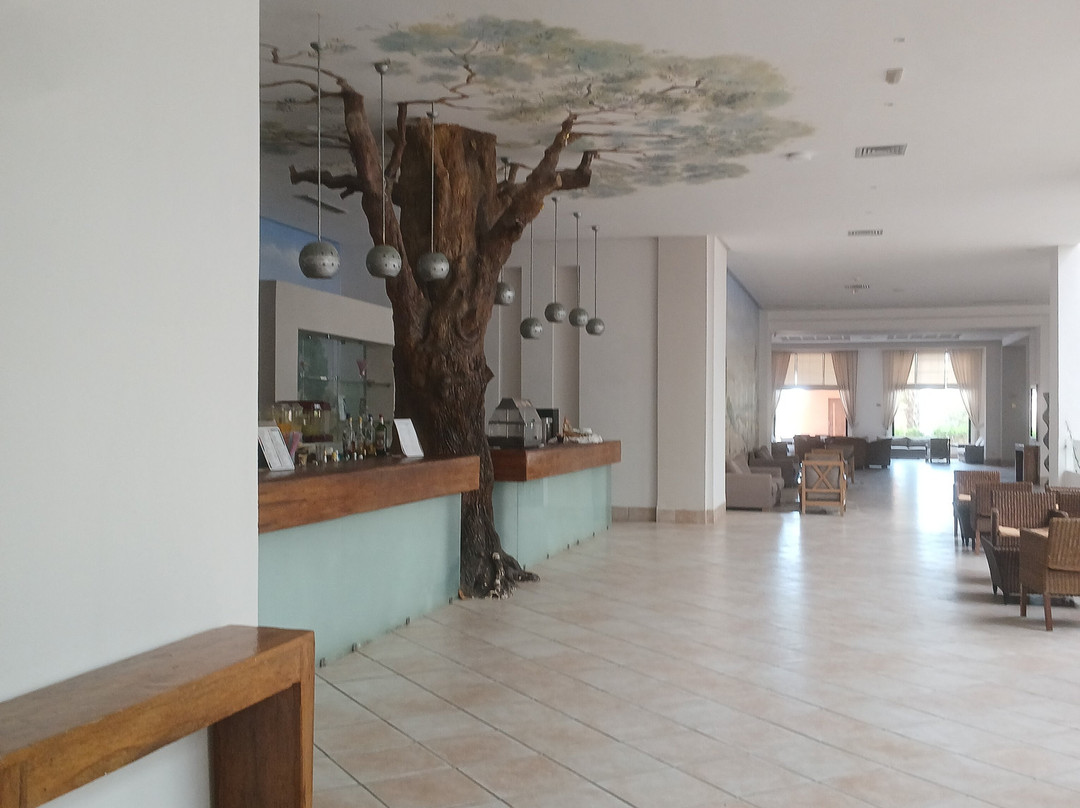 文奇比萨菲拉棕榈 Spa 酒店主图