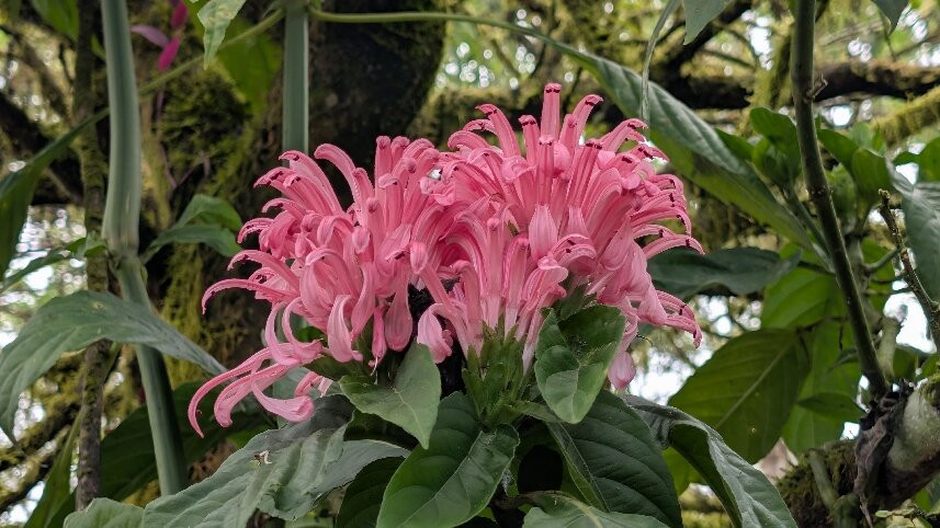 塞米拉维尔德精品酒店主图