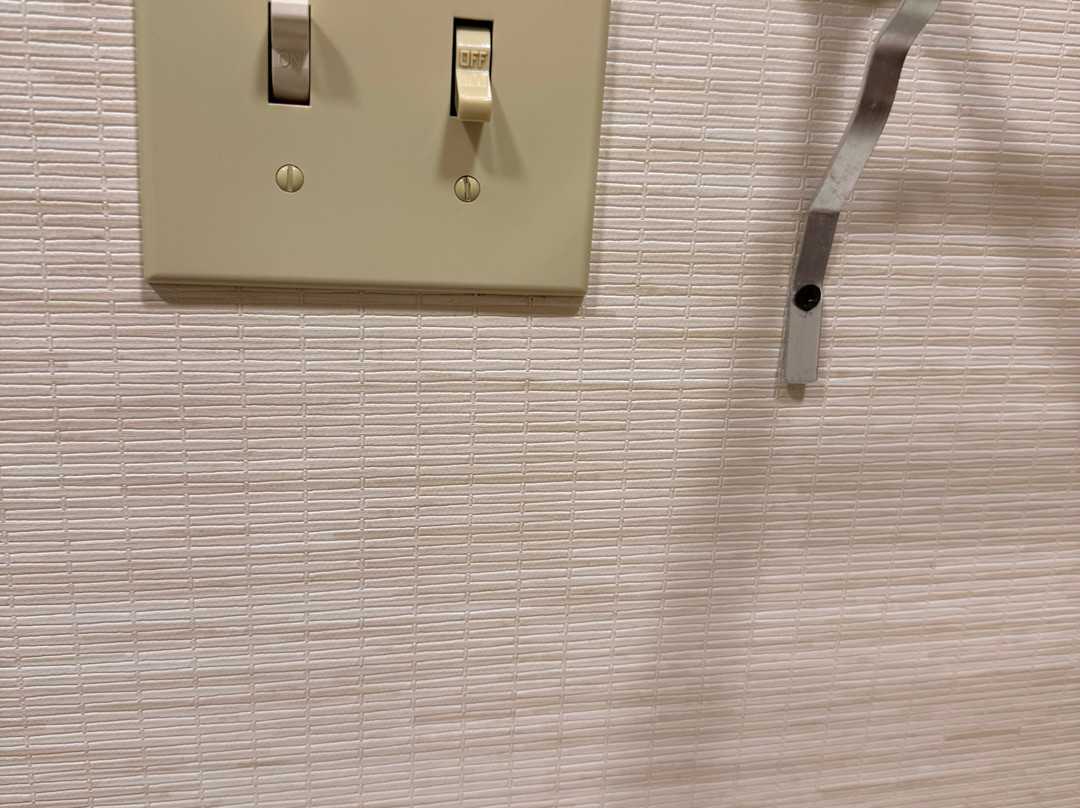 芝加哥圣查尔斯万枫酒店及套房主图