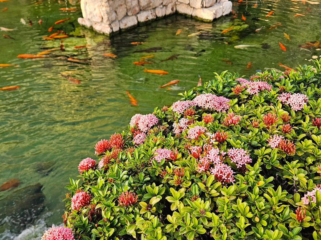 阿鲁巴岛凯悦度假酒店主图