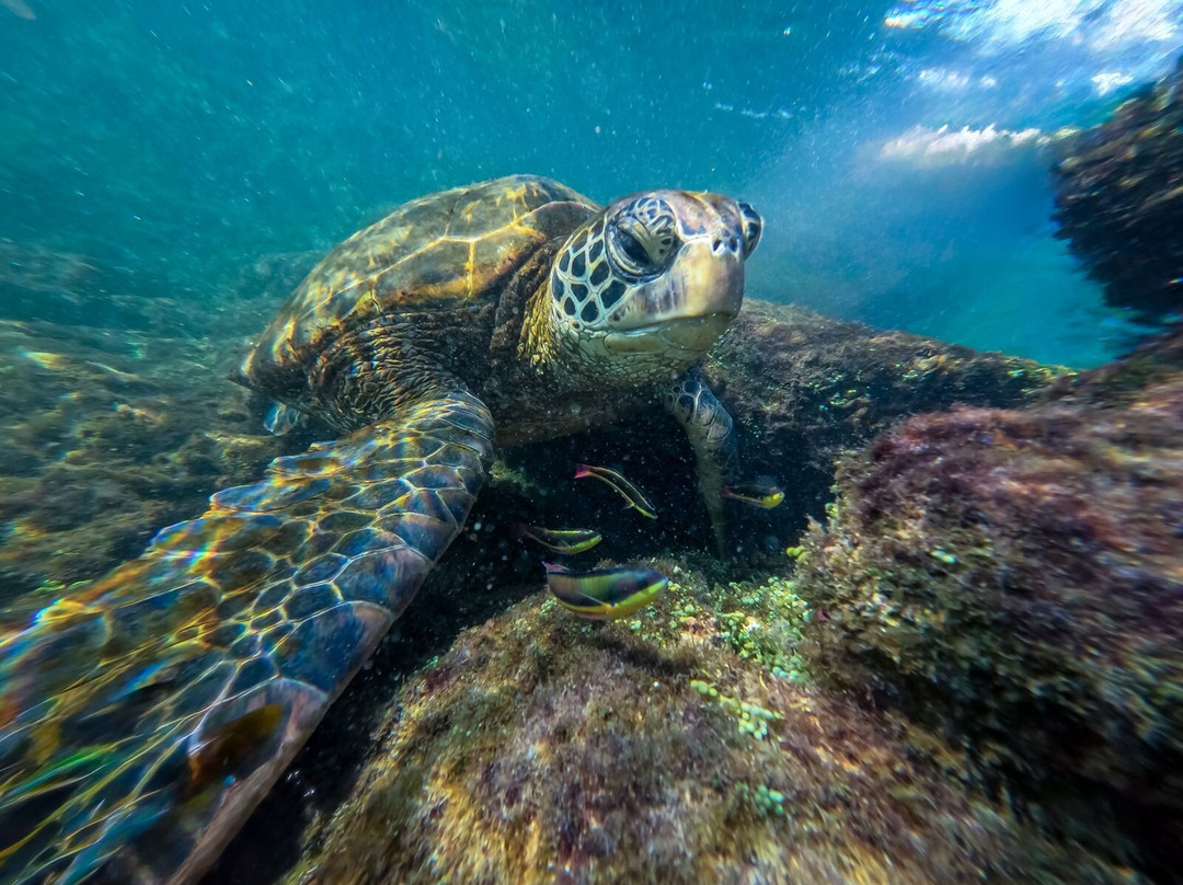 Galapagos Path-阿约拉港必去景点