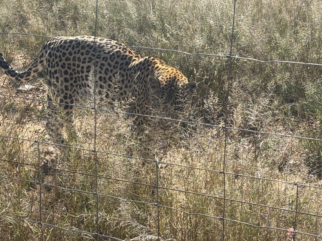 Naankuse Wildlife Sanctuary-温德和克必去景点