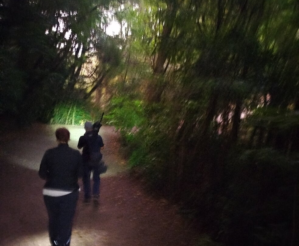 Rafael Elizondo Nature Tours-蒙特维多云雾森林自然保护区必去景点