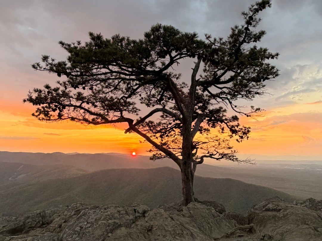 Raven's Roost Overlook-Lyndhurst必去景点