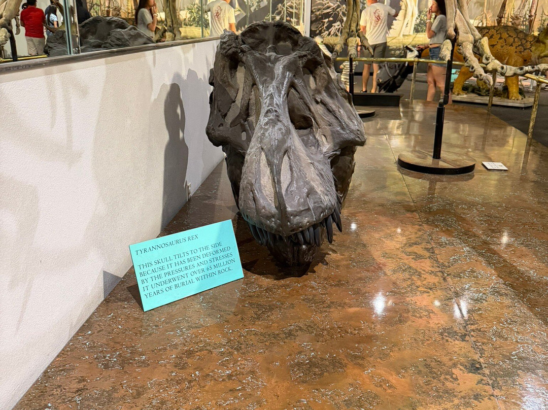 Arizona Museum Of Natural History-梅萨必去景点