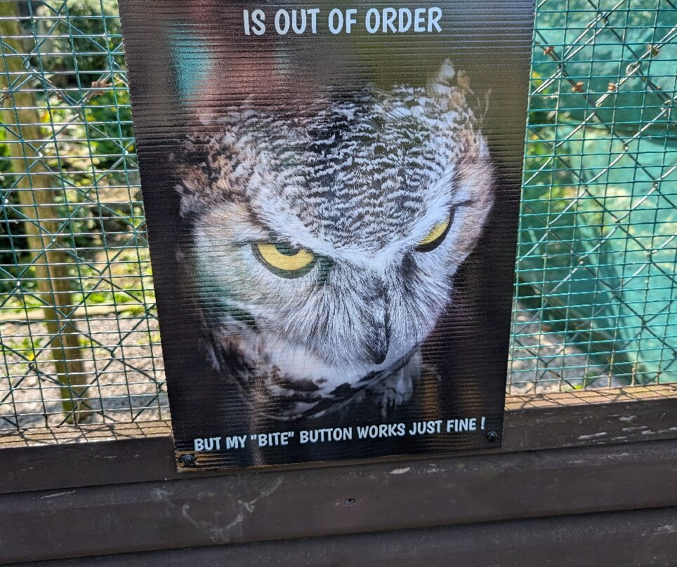 The Owls Trust-兰迪德诺必去景点