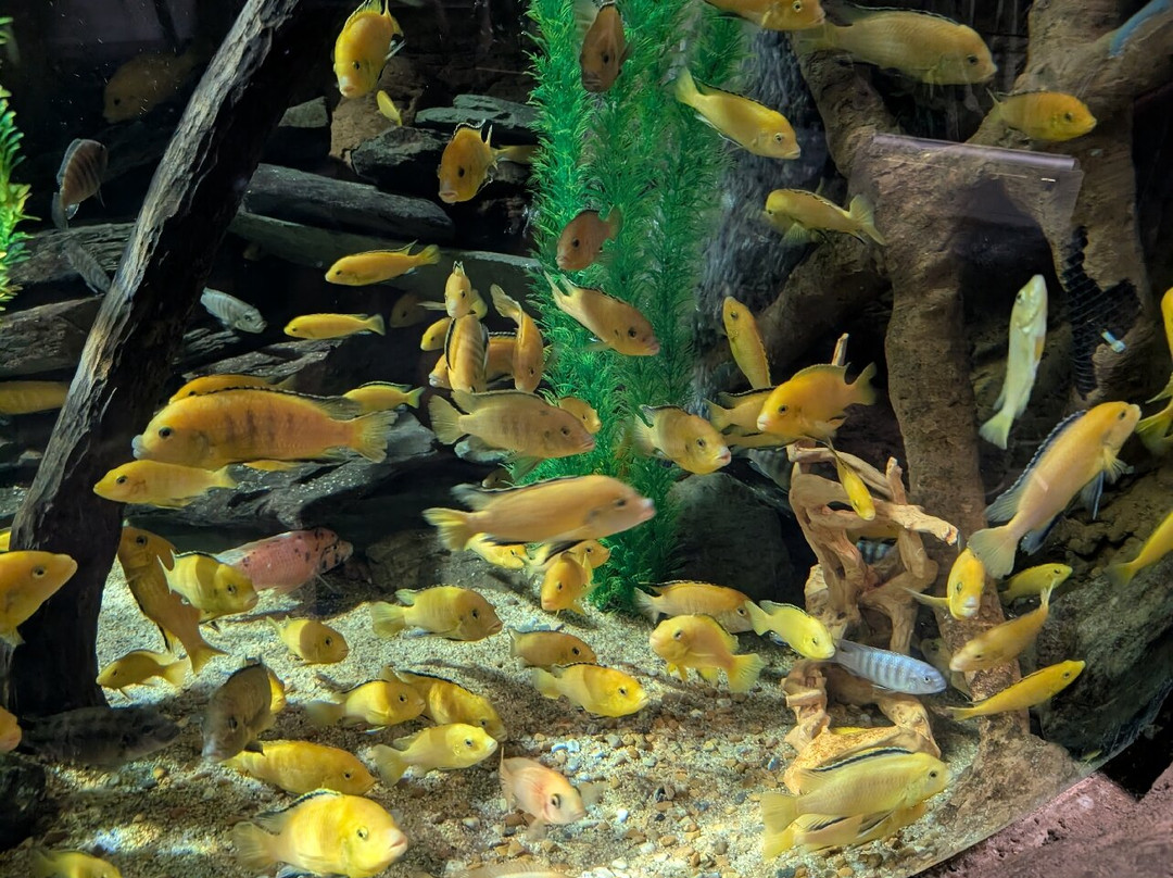 Lakes Aquarium-Newby Bridge必去景点