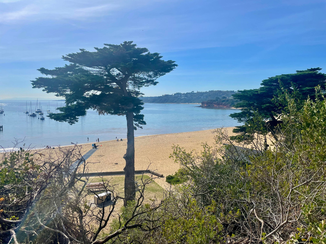 Mothers Beach-莫宁顿必去景点