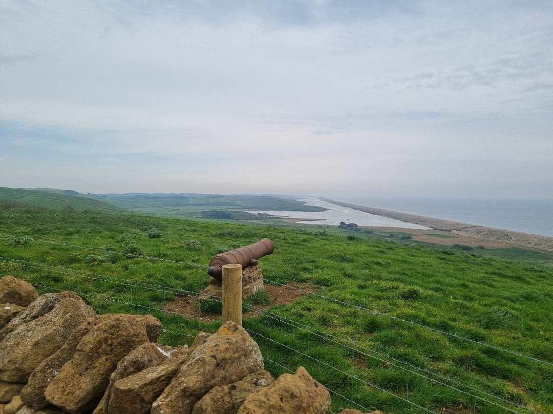 Abbotsbury Subtropical Gardens-Abbotsbury必去景点
