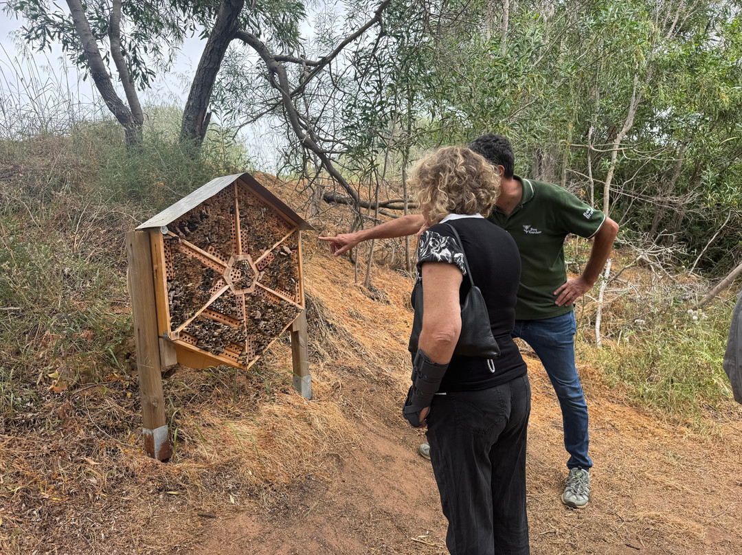 Bee Garden Alghero-阿尔盖罗必去景点