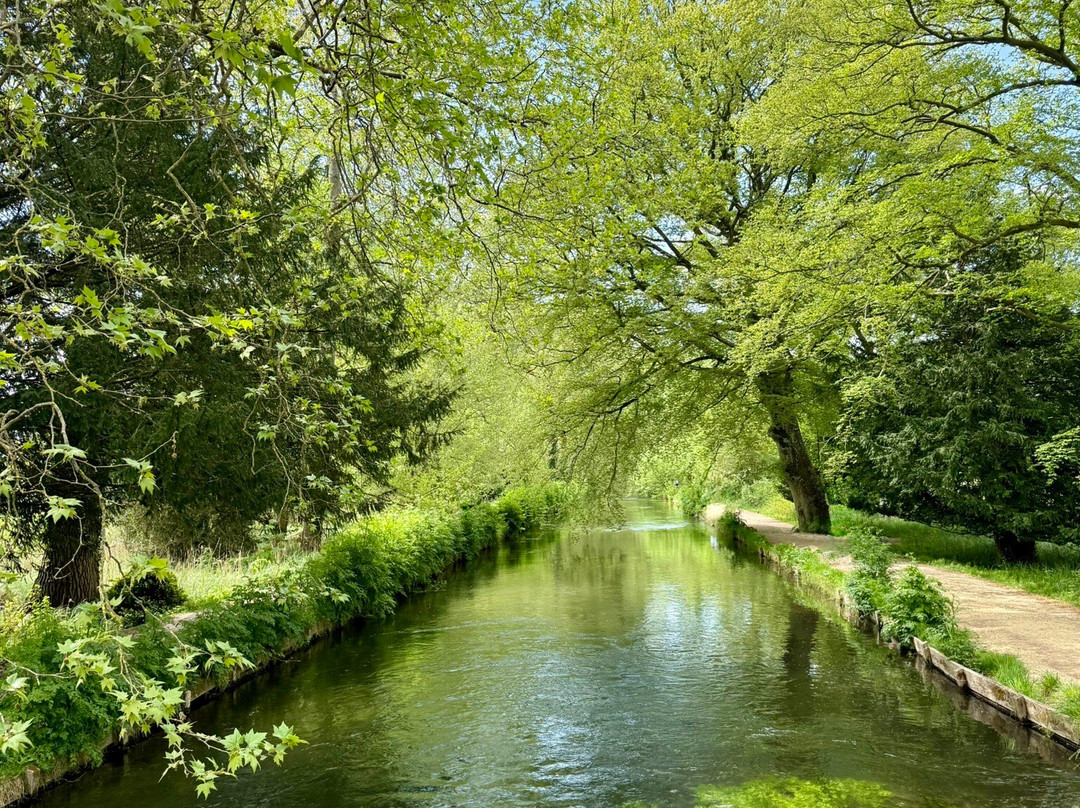 Mottisfont Abbey-Mottisfont必去景点