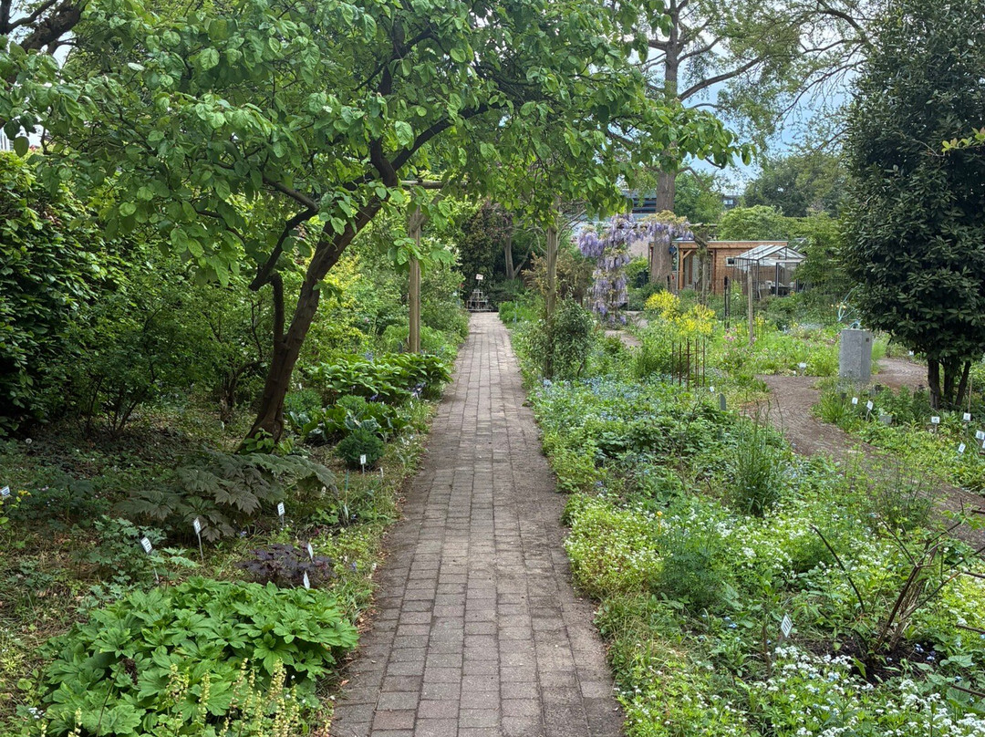 Botanische Tuin Dr. Costerus-Hilversum必去景点
